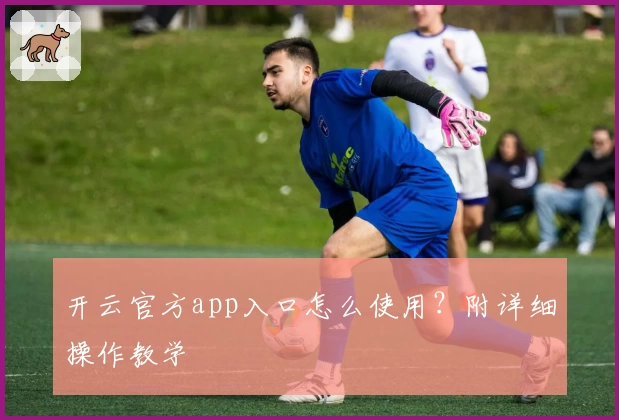 开云官方app入口怎么使用？附详细操作教学