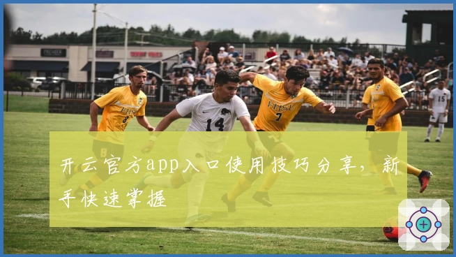开云官方app入口使用技巧分享，新手快速掌握