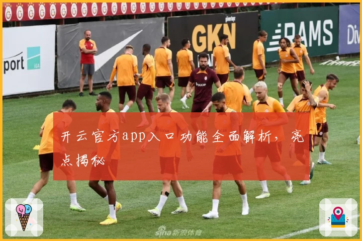 开云官方app入口功能全面解析，亮点揭秘