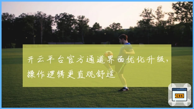 开云平台官方通道界面优化升级，操作逻辑更直观舒适