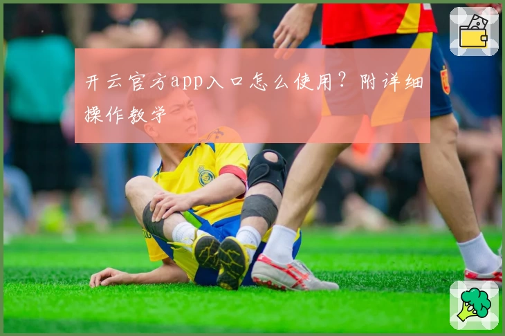 开云官方app入口怎么使用？附详细操作教学