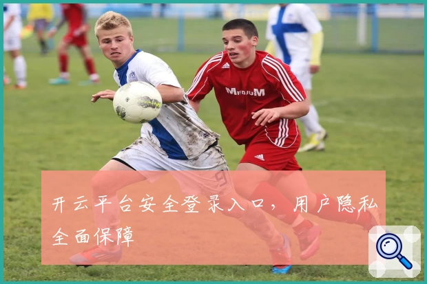 开云平台安全登录入口，用户隐私全面保障